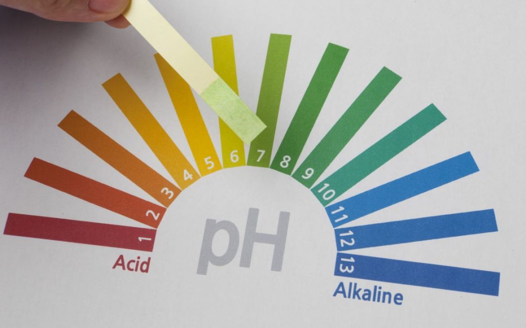 ¿Qué es el pH? 