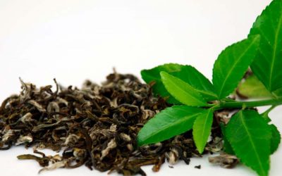 ORIGEN Y BENEFICIOS DEL TÉ VERDE