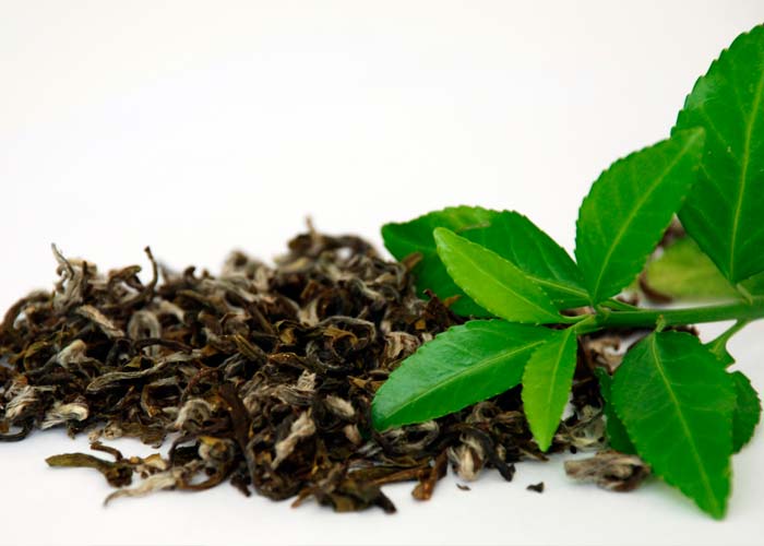 ORIGEN Y BENEFICIOS DEL TÉ VERDE