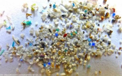 ¿Cuánto microplástico contiene el agua que bebes?