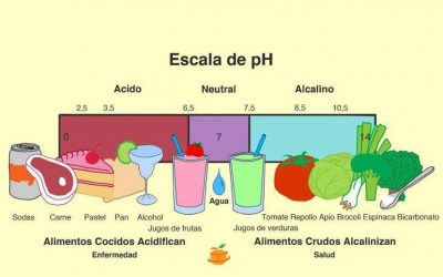 La alcalinidad en la sangre