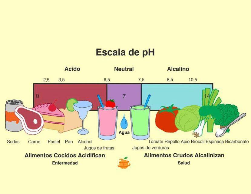 La alcalinidad en la sangre