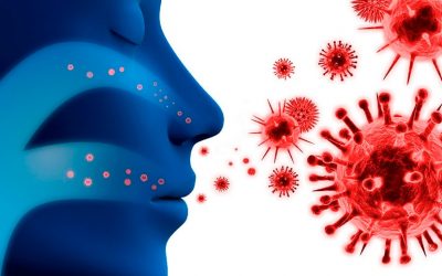 Un Estudio Certifica Que La Vitamina D Reduce El Riesgo De Infeccion Por Coronavirus