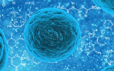 ¿Un Ambiente Ácido Puede Aumentar La Potencia De Los Virus y Bacterias?